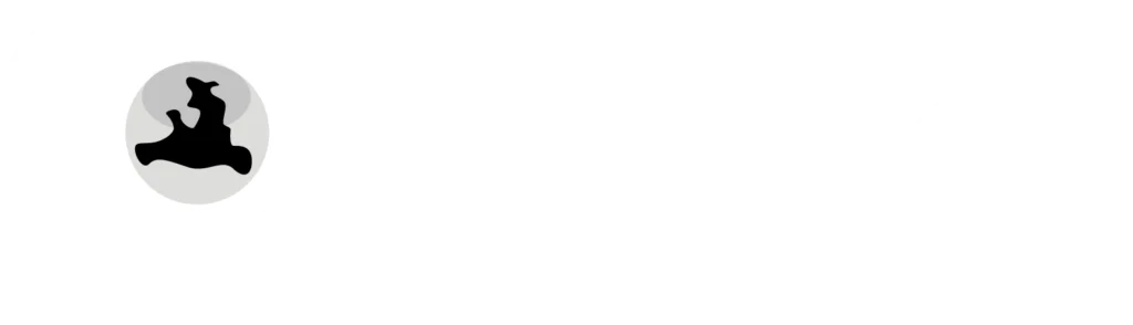 RTS Regionalfernsehen